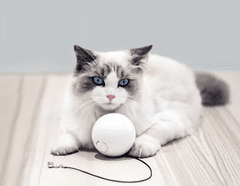 MXM Smart balónik HomeRunPet pre mačky / psy