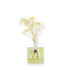 Ashleigh & Burwood Sušené kvety do difuzéra LIFE IN BLOOM - Yellow