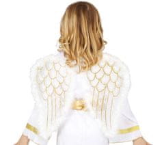 Guirca Anjelské krídla biele priesvitné 47x40cm