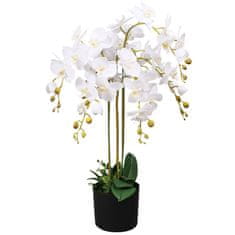 Petromila vidaXL Umelá rastlina, orchidea s kvetináčom 75 cm, biela