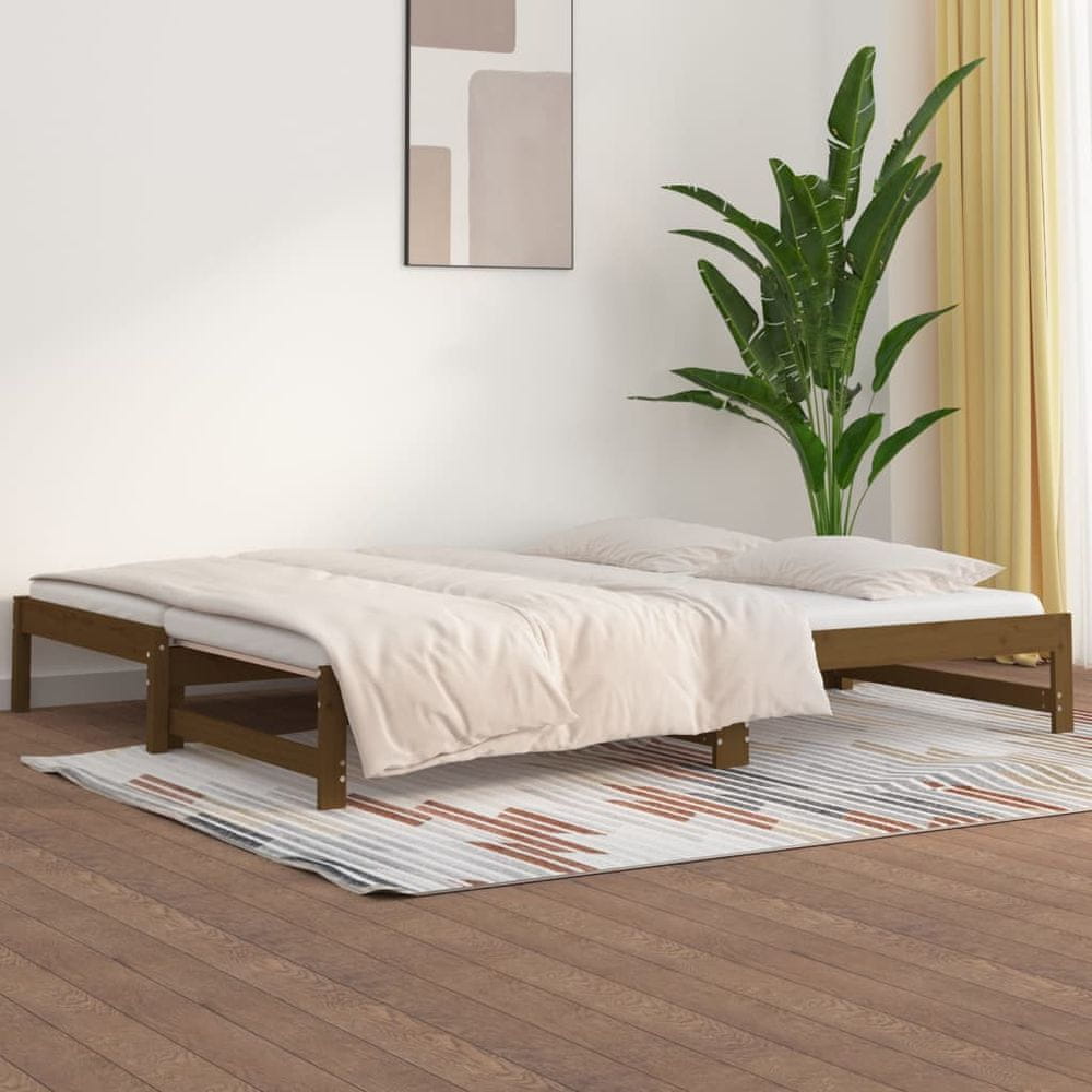Petromila vidaXL Rozkladacia denná posteľ hnedá 2x(90x200) cm borovicový masív