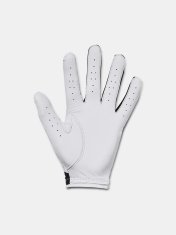 Under Armour Rukavice UA Iso-Chill Golf Glove-BLK RXL