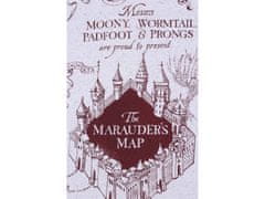 sarcia.eu Harry Potter The Marauder's Map Pánske šedé pyžamo XS