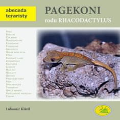 Robimaus Pagekoni rodu Rhacodactylus - Abeceda teraristy