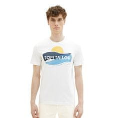 Tom Tailor Pánske tričko 1036328.10332 (Veľkosť XL)