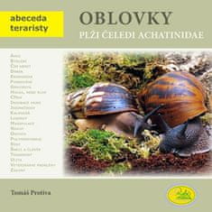 Robimaus Oblovky ulitníky čeľade achatinidae - Abeceda teraristy