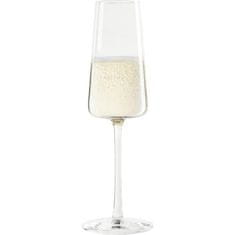 Stulzle Oberglas Pohár na šampanské Stölzle Power 240 ml, 6x
