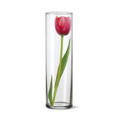 Banquet Váza sklenená DAREN 27,4 x 8,5 cm, súprava 6 ks