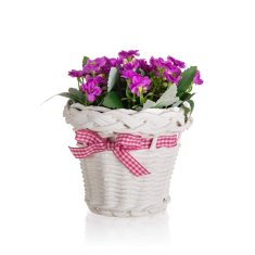 HOME DECOR Kvetina v ratanovom košíka so stuhou 13 x 14 cm, fialová, súprava 6 ks