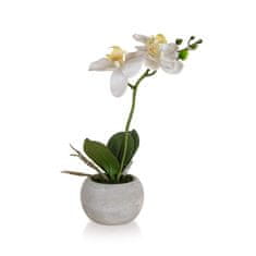 HOME DECOR Orchidea v papierovom kvetináči 32 x 23 cm, biela, súprava 4 ks