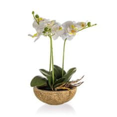 HOME DECOR Orchidea v betónovom kvetináči 30,5 x 17 cm, biela, súprava 2 ks