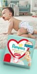 Pampers Protection Pants