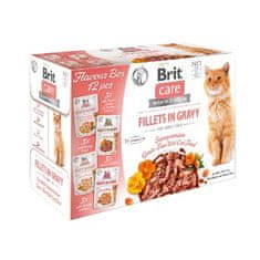 shumee Brit Care Cat FG Flavour Box POUCH 12x85g