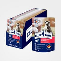 Club4Paws Premium Kapsičky pre šteniatka s morčacím mäsom v omáčke (24x100g) 2.4kg