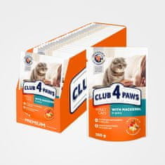 Club4Paws Premium Kapsička pre mačky s makrelou v omáčke (24x100g) 2.4kg