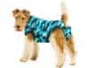 Pooperačné ochranné oblečenie pre psa modré 22 - 35cm