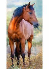 Carbotex Detský uterák Kôň hnedák na lúke 30x50 cm
