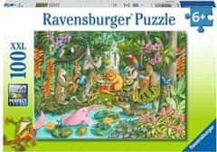 Ravensburger Puzzle Kapela dažďového pralesa XXL 100 dielikov