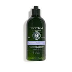 LOccitane En Provenc Micelárny šampón Gentle & Balance (Micellar Shampoo) (Objem 300 ml)