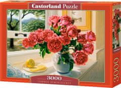 Castorland Puzzle Spomienka na leto 3000 dielikov