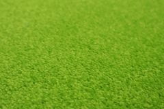 Vopi Kusový koberec Eton zelený srdce 100x120 srdce