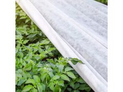 sarcia.eu Agrotextília Biela 3,2m 25g/m2 s UV 5 m 3,2 m