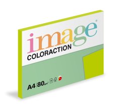 Image Papier kopírovací Coloraction A4 80 g zelená stredná 100 hárkov 