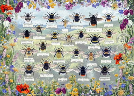 Gibsons Puzzle Brilantné včely 1000 dielikov