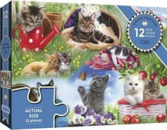 Gibsons Puzzle Skladáme spolu: Mačky 12 dielikov