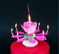 GoDan Hrajúca tortová sviečka - ružová