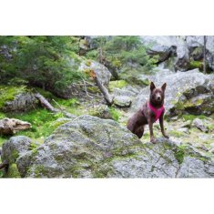 RUKKA PETS Dog Postroj COMFORT AIR Ružová XL