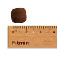 Fitmin Adult Large Breed 12kg