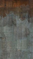 Vliesová obrazová tapeta, imitácia kovovej dosky A43101, 159 x 280 cm, One roll, Murals