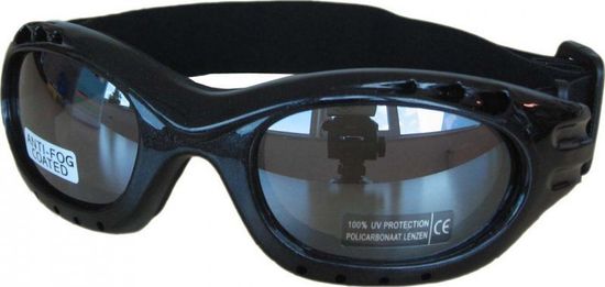 HolidaySport Slnečné lyžiarske okuliare Cortini 91480 black
