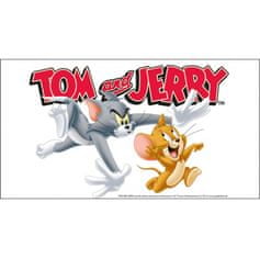 Tom a Jerry fľaša so slamkou 450 ml