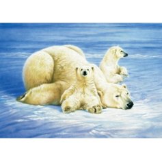 Schmidt 1000 ks puzzle Ľadové medvede