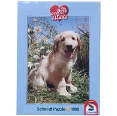 Schmidt 1000 ks puzzle Zlatý retríver