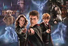 Trefl Puzzle Super Shape XL Kúzelný svet Harryho Pottera 160 dielikov