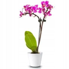 Polnix Keramický obal na orchidey 15 cm biely