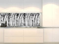 Dimex fototapety do kuchyne, samolepiace KI-180-137 Čiernobiela tráva 60 x 180 cm
