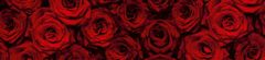 Dimex fototapety do kuchyne, samolepiace KI-260-132 Červené ruže 60 x 260 cm