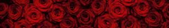 Dimex fototapety do kuchyne, samolepiace KI-350-132 Červené ruže 60 x 350 cm