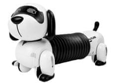 Lean-toys Interaktívny robot pes na diaľkové ovládanie Hudba Zvuk Pilot Ball