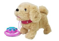 Lean-toys Plyšový pes na vodítku s príslušenstvom na batérie