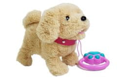 Lean-toys Plyšový pes na vodítku s príslušenstvom na batérie