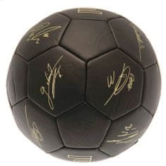 Fan-shop Míč ARSENAL FC Signature Gold