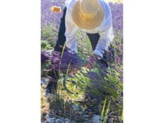 sarcia.eu Kovaný záhradný kosák s jaseňovou rukoväťou Univerzálny