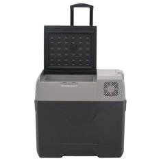 Vidaxl Chladiaci box s kolieskom a rukoväťou čierno-sivý 50 l PP