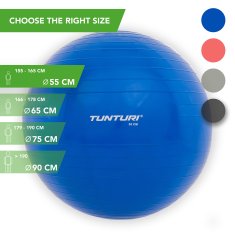 Tunturi Gymnastická lopta 65 cm modrá