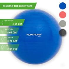 Gymnastická lopta 55 cm modrý
